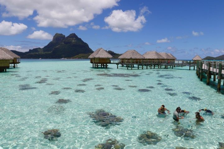 A group of people watching corals