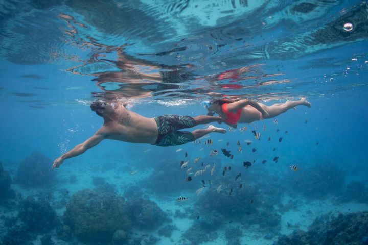 A couple swimming and watching fishes in Bora Bora lagoon