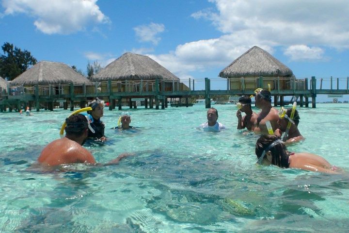 A group of people learning about corals