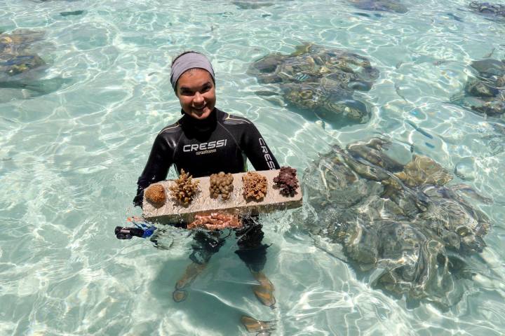 A guide specialized in coral knowledges