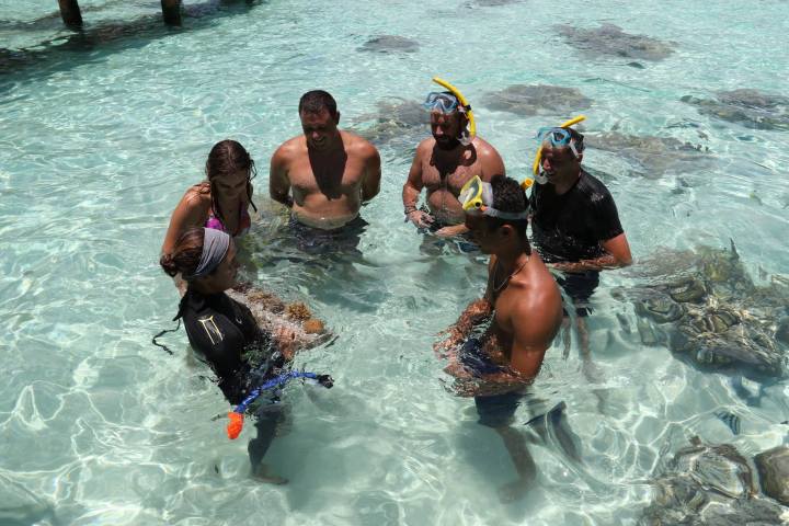 A group of people watching corals