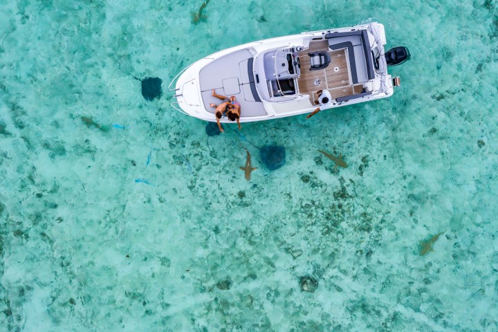 A couple watching sharks and rays on Bora Bora lagoon